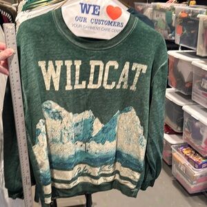 Wildcat Green and Blue Women's Sweater